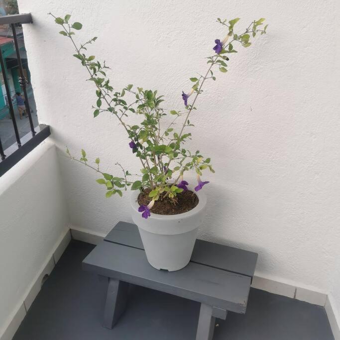 Lovely Studio Apartment With Balcony Ac & Wi-Fi, Minutes From Downtown! シワタネホ エクステリア 写真