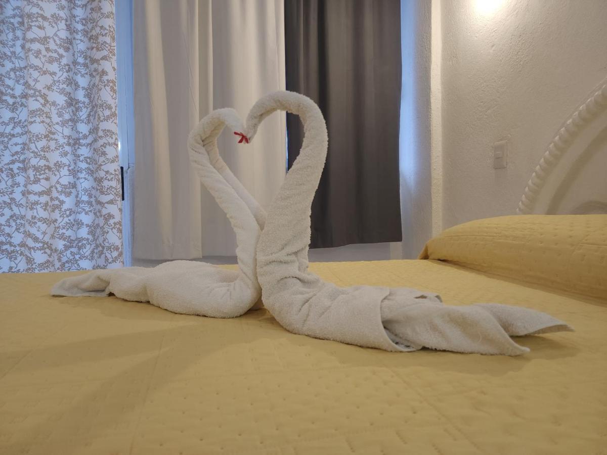 Lovely Studio Apartment With Balcony Ac & Wi-Fi, Minutes From Downtown! シワタネホ エクステリア 写真