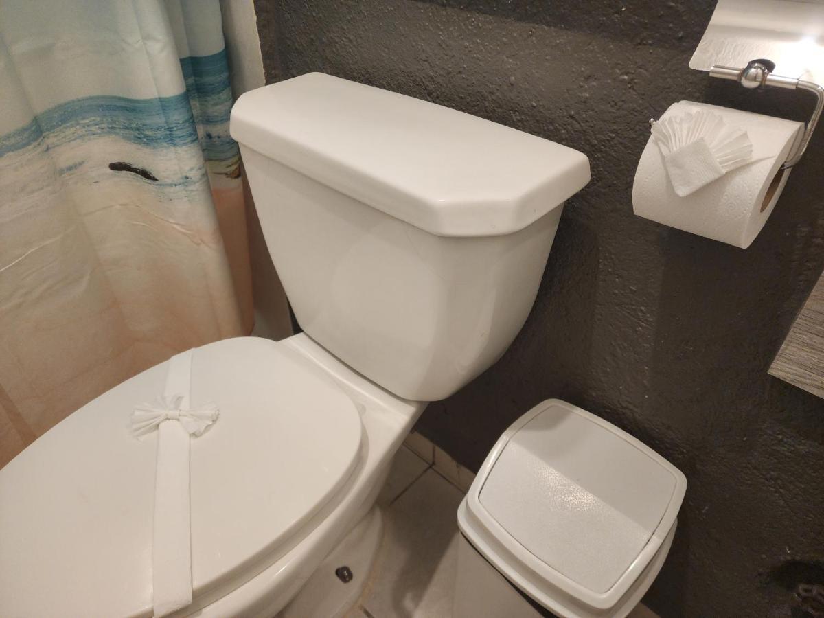 Lovely Studio Apartment With Balcony Ac & Wi-Fi, Minutes From Downtown! シワタネホ エクステリア 写真